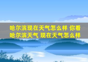 哈尔滨现在天气怎么样 你看哈尔滨天气 现在天气怎么样